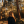 claire hyland Avatar