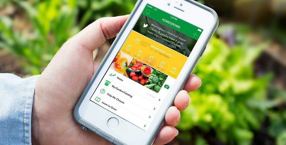 6 Best Plants and Flower Identification apps for Android