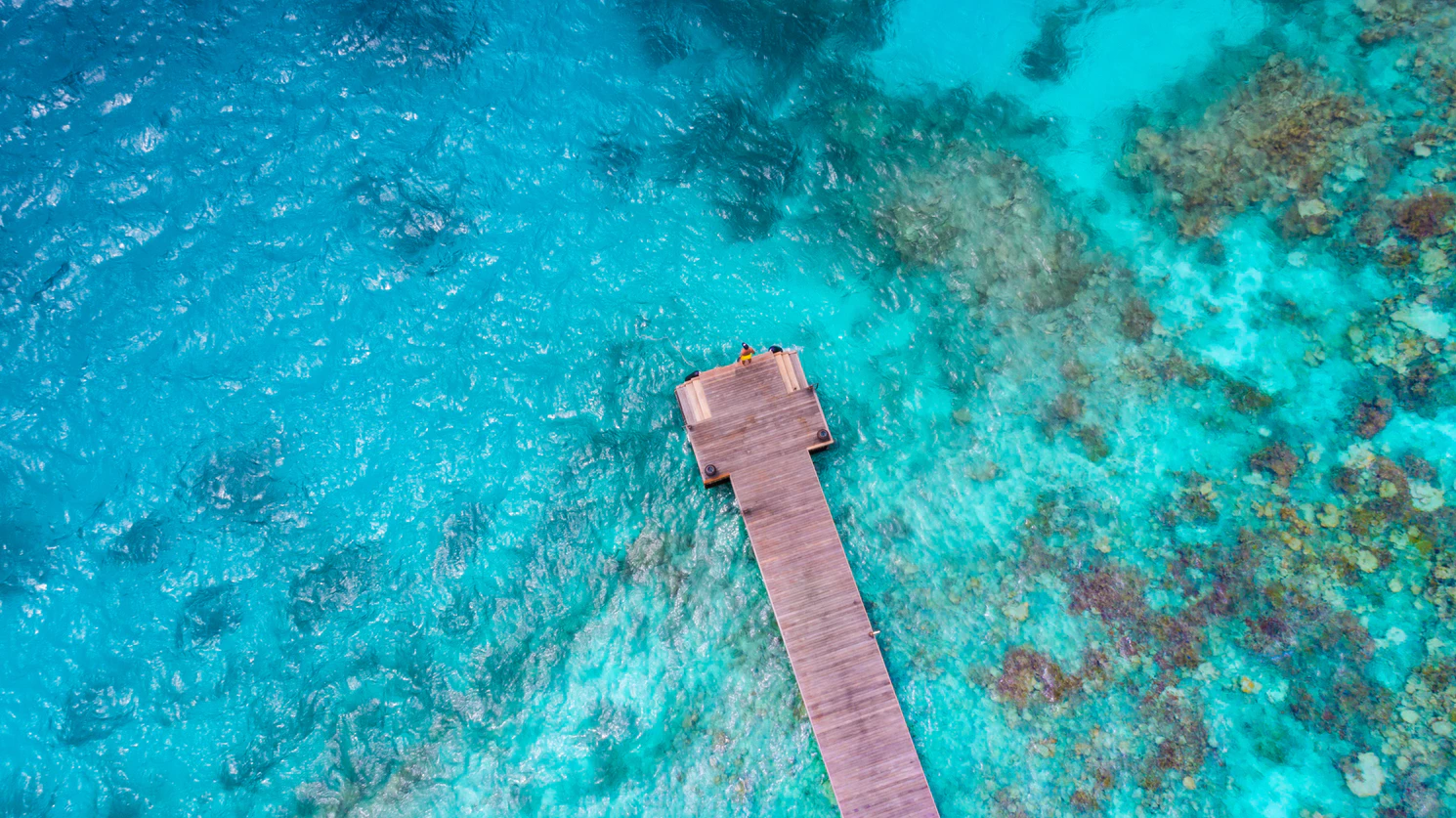 5 Emerging Technologies for the Amateur Photographer Drones
