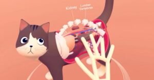 Leap Motion’s VR anatomy lesson lets you pull a cat apart with your hands
