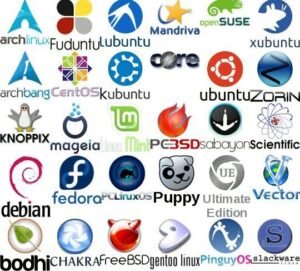 5 reasons why you should choose Linux over Windows or Mac OS