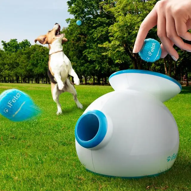 Best Dog Gadgets