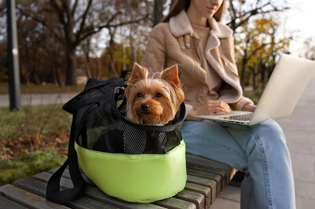 10 Must-Have Gadgets To Show Puppy Love: Enhancing Their Happiness and Well-Being