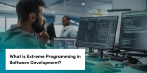 Demystifying Extreme Programming Methodology: Principles & Challenges