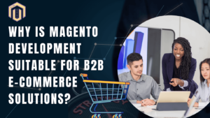 Why is Magento Development Suitable for B2B E-commerce Solutions?