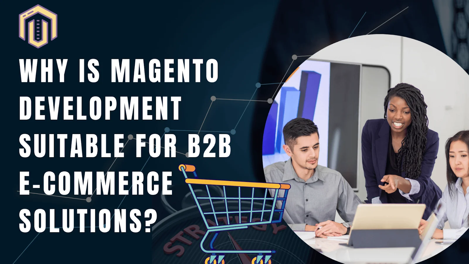 Why is Magento Development Suitable for B2B E-commerce Solutions?
