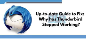 Up-to-date Guide to Fix: Why has Thunderbird Stopped Working?