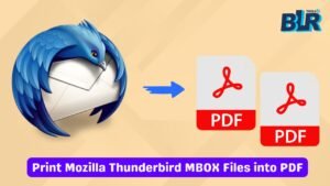 Direct Method:Print Mozilla Thunderbird MBOX Files into PDF
