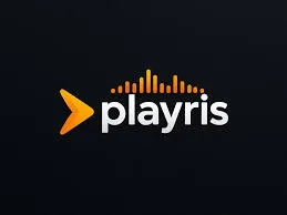 Can Playris Replace Plex’s Default Music Experience on Apple TV?